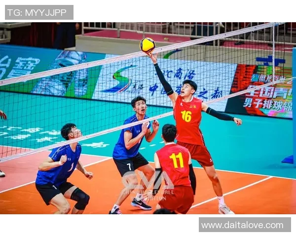 南京排球队意识排名创新高引发全国关注助力排球发展新篇章