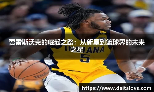 DB旗舰官网